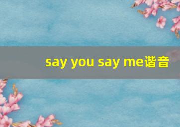 say you say me谐音